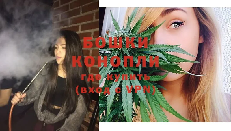 Конопля White Widow  Юрьев-Польский 